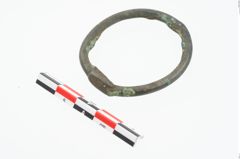 Foto von Bronzering (NHMW-PRAE-026636)